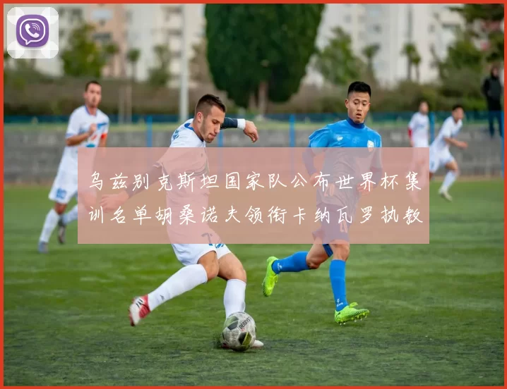 乌兹别克斯坦国家队公布世界杯集训名单胡桑诺夫领衔卡纳瓦罗执教