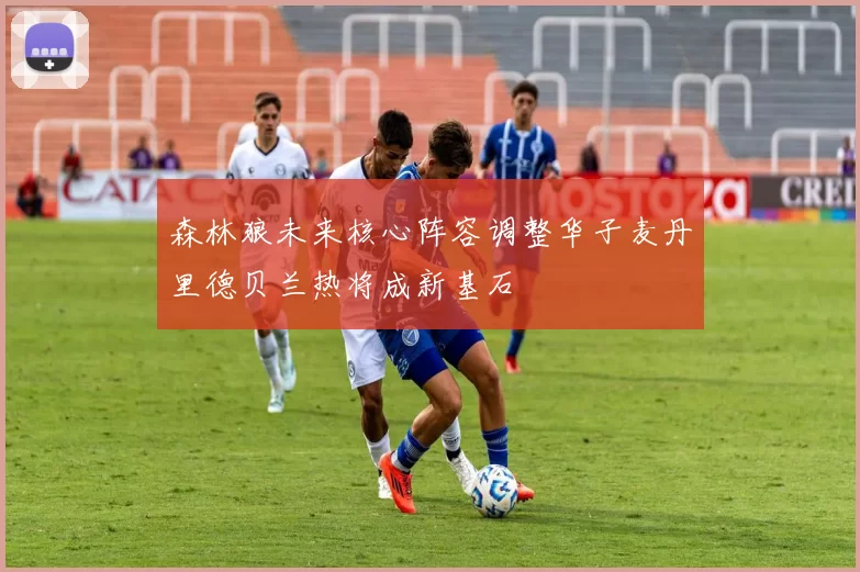 森林狼未来核心阵容调整华子麦丹里德贝兰热将成新基石